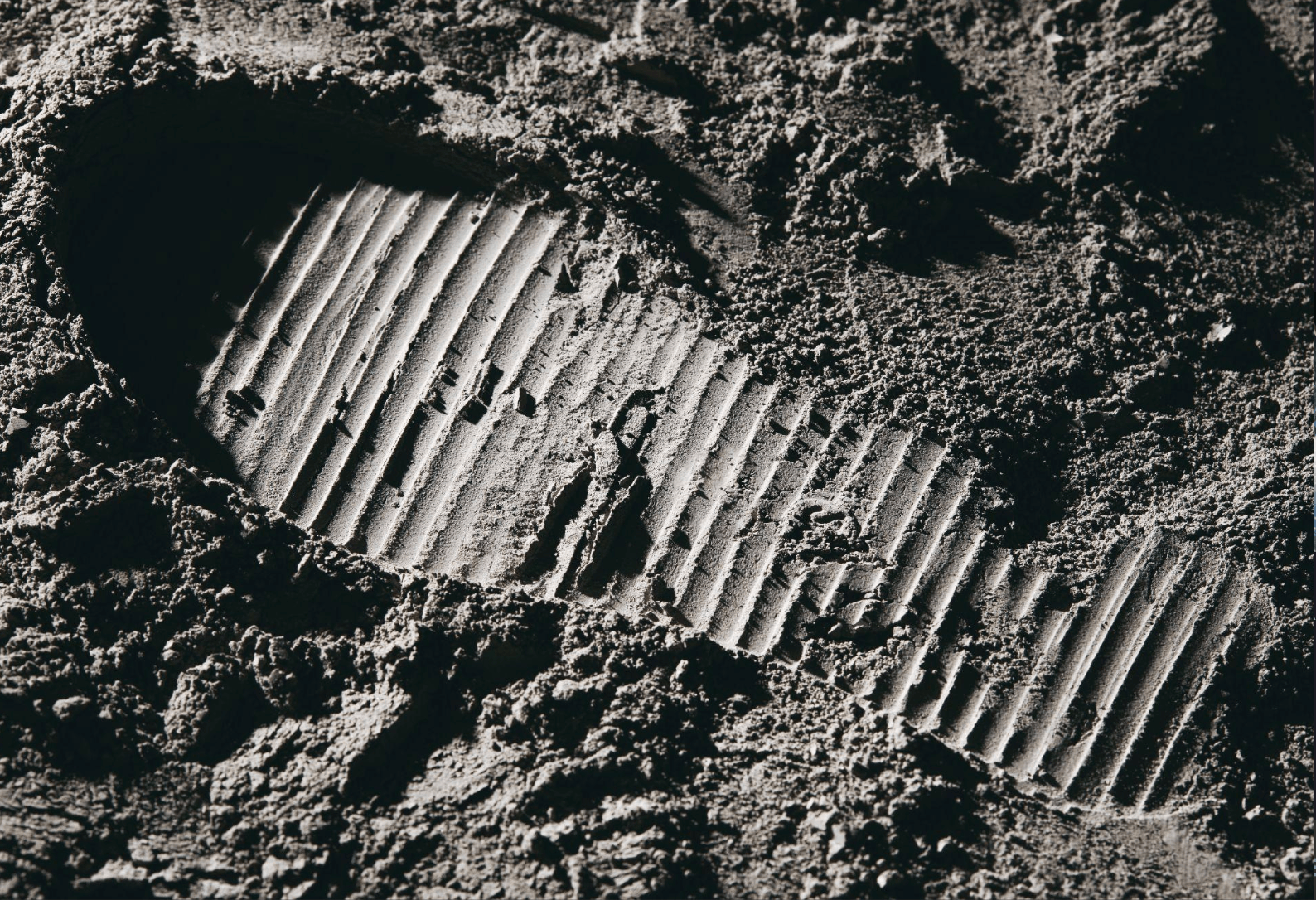 Schermata 2024-10-15 alle 15.00.39