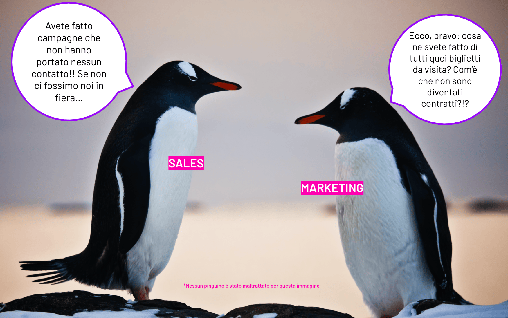 Schermata 2024-10-15 alle 14.57.09 Sales VS Marketing